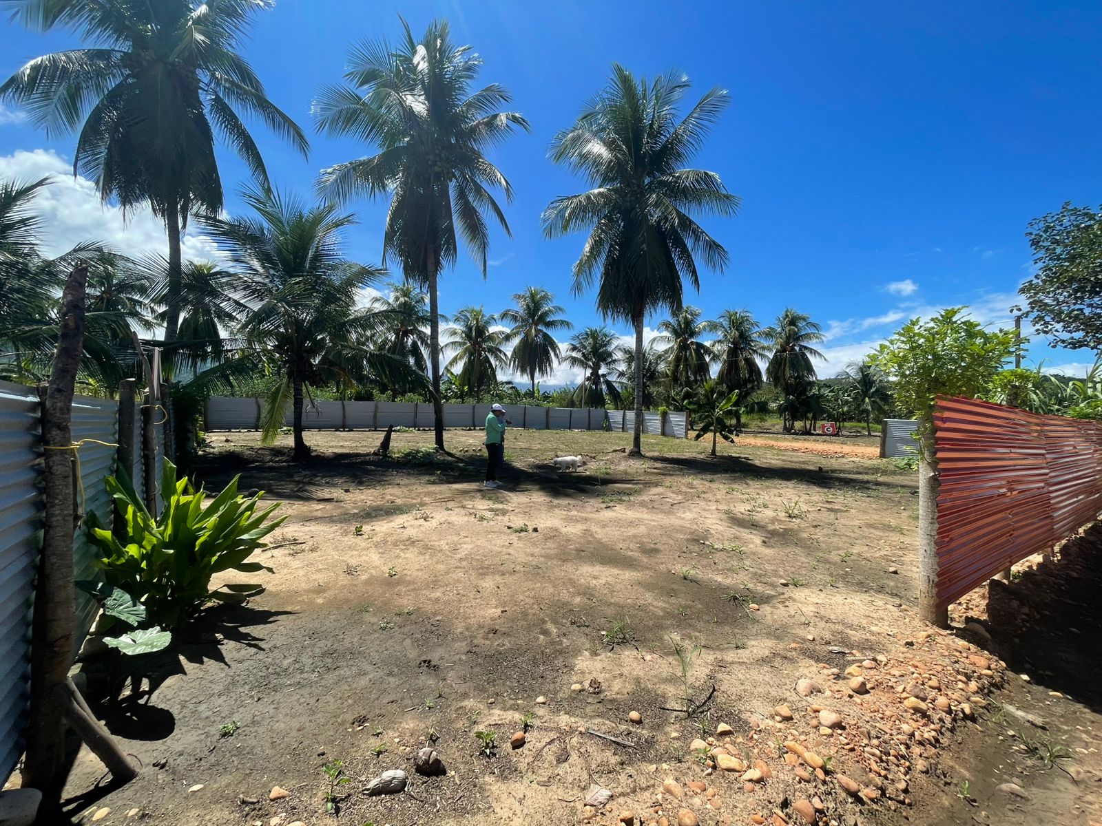 🏡Lotes frente de la entrada de Lamas🏡