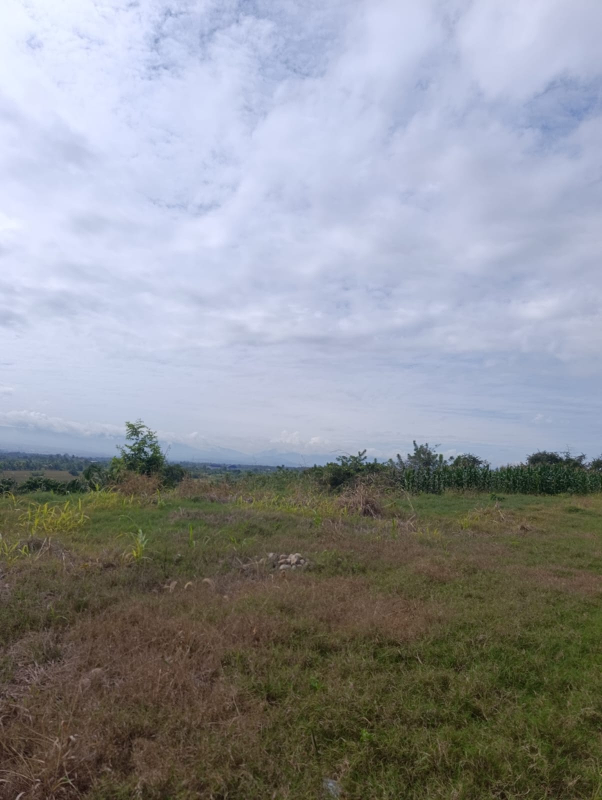 OPORTUNIDAD DE INVERSIÓN EN TARAPOTO! 🏞️
