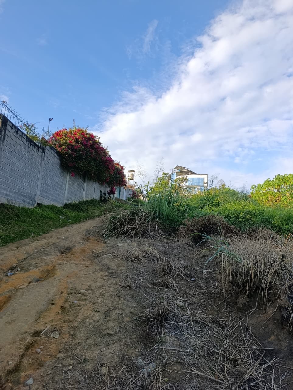 Venta de Lotes de Terrenos cerca a Tarapoto