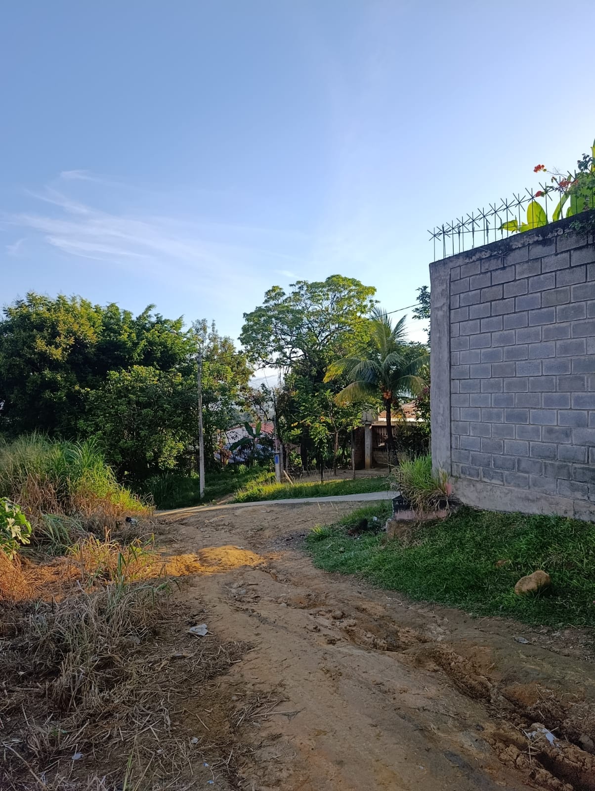 Venta de Lotes de Terrenos cerca a Tarapoto