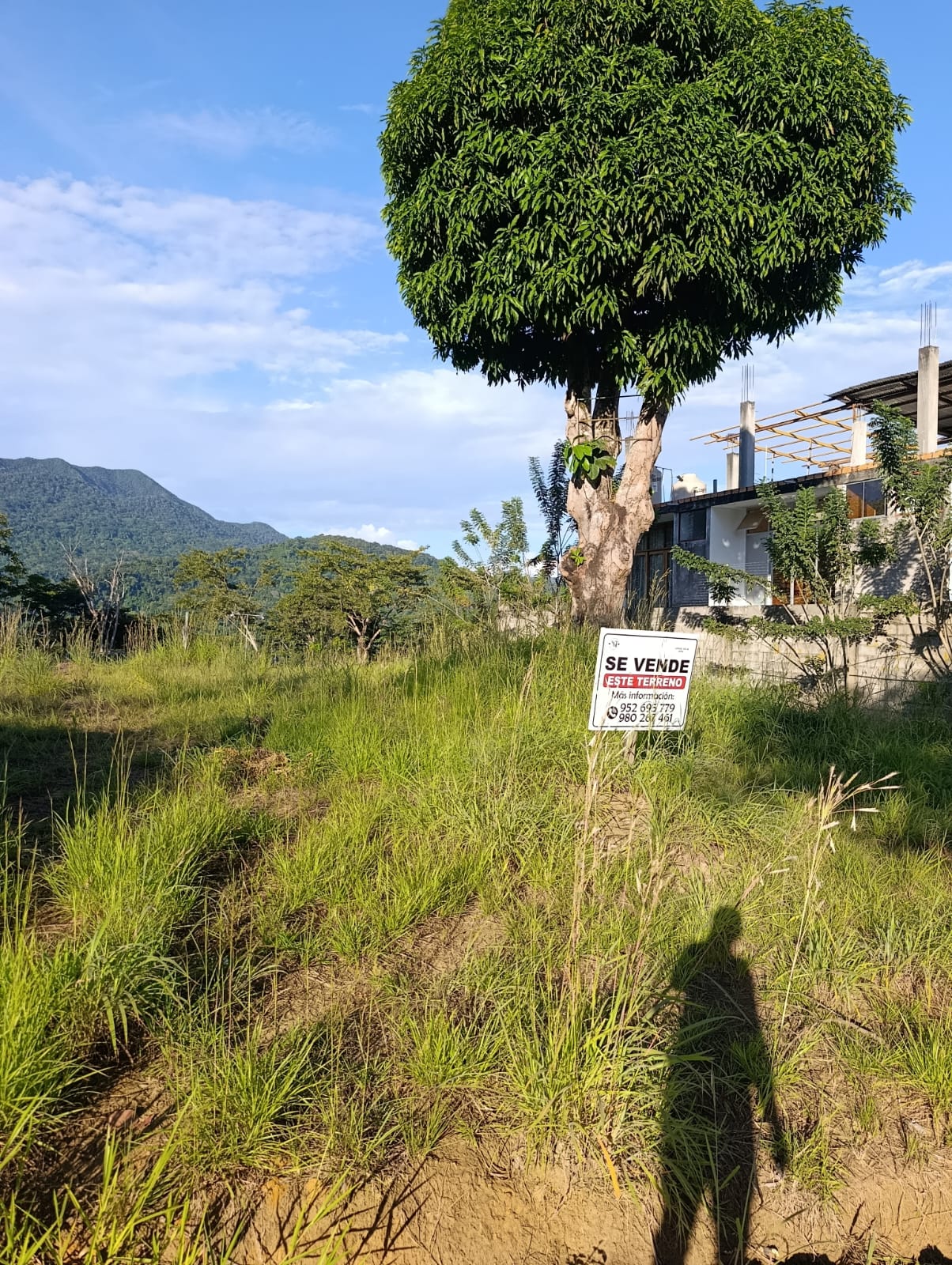 Terrenos en Venta – Tarapoto 🌿🏡