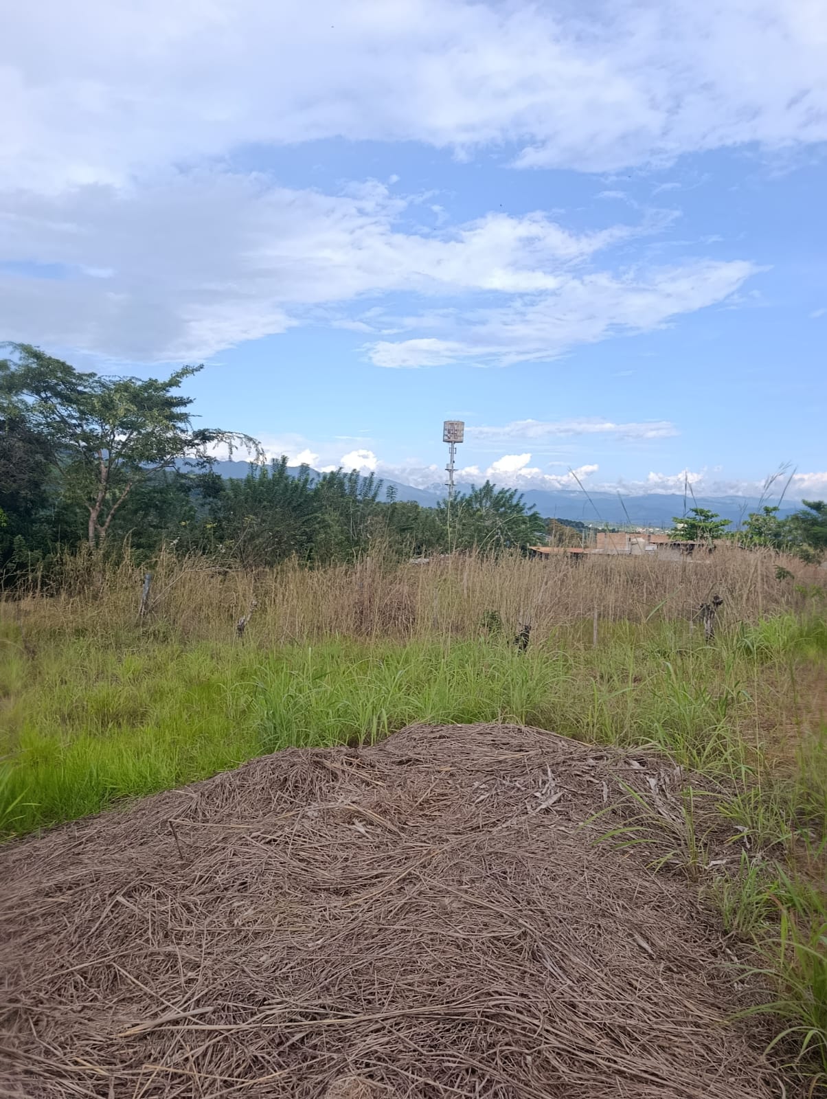 4 lotes a frente del recreo turístico Rancho vista en Tarapoto
