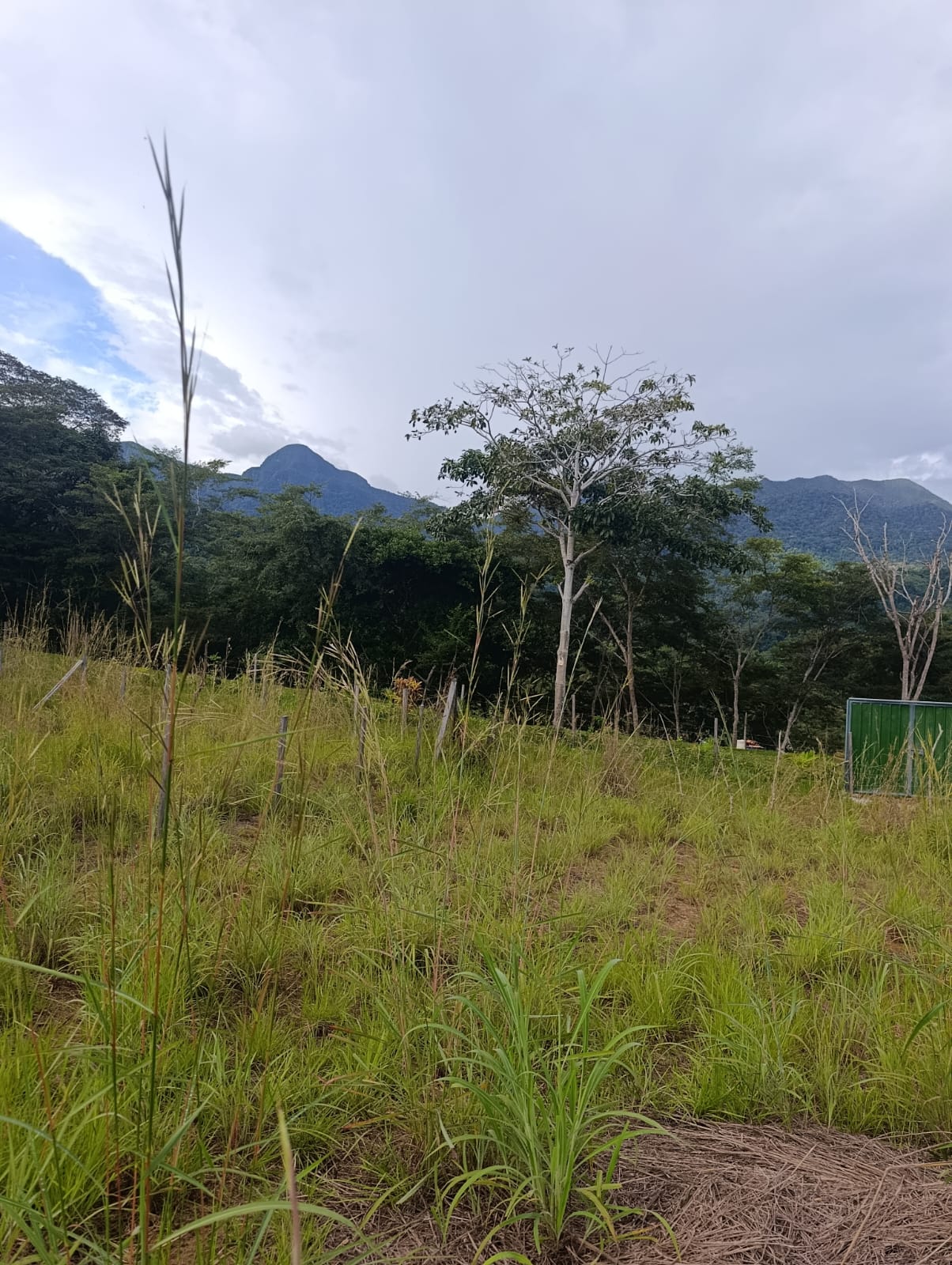 4 lotes a frente del recreo turístico Rancho vista en Tarapoto