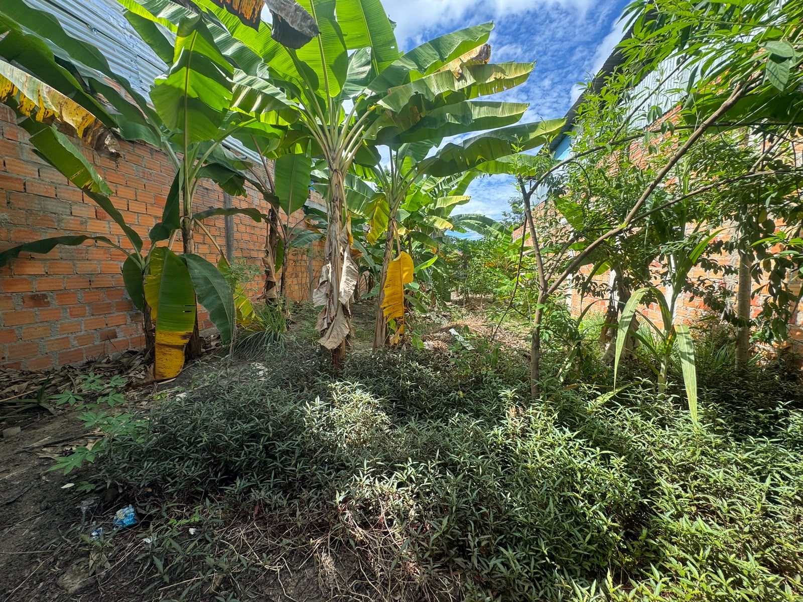Se vende lote de 7.5 metros de frente por 20 metros de fondo, ubicado a tan solo media cuadra del Hospital EsSalud