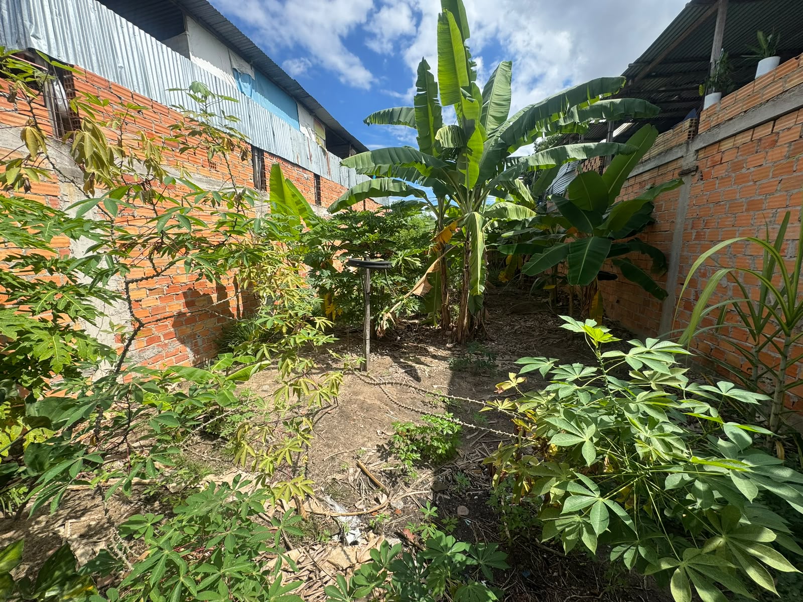 Se vende lote de 7.5 metros de frente por 20 metros de fondo, ubicado a tan solo media cuadra del Hospital EsSalud