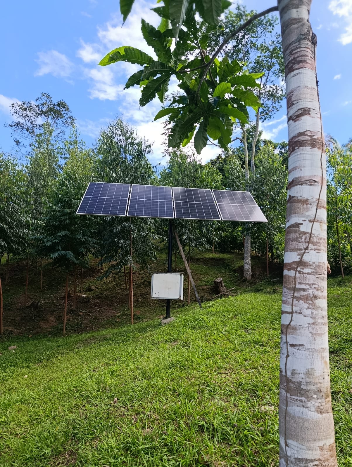 OPORTUNIDAD DE INVERSIÓN TURÍSTICA Y AIRBNB EN TARAPOTO 🌿✨