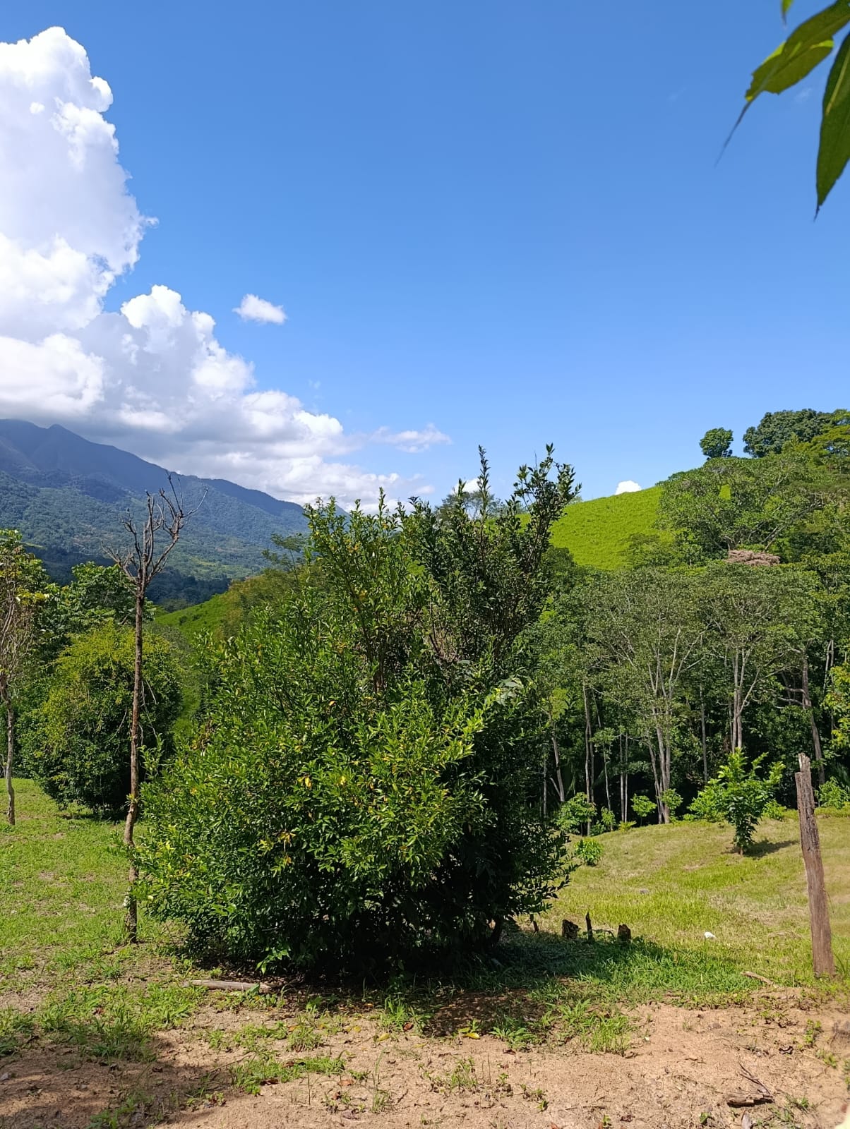 OPORTUNIDAD DE INVERSIÓN TURÍSTICA Y AIRBNB EN TARAPOTO 🌿✨