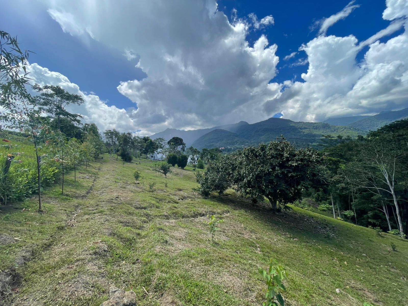 OPORTUNIDAD DE INVERSIÓN TURÍSTICA Y AIRBNB EN TARAPOTO 🌿✨