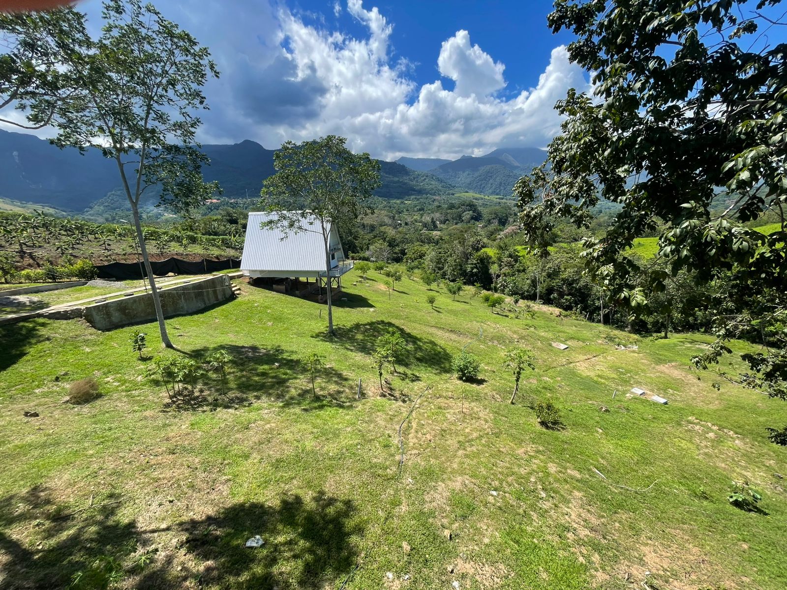 OPORTUNIDAD DE INVERSIÓN TURÍSTICA Y AIRBNB EN TARAPOTO 🌿✨
