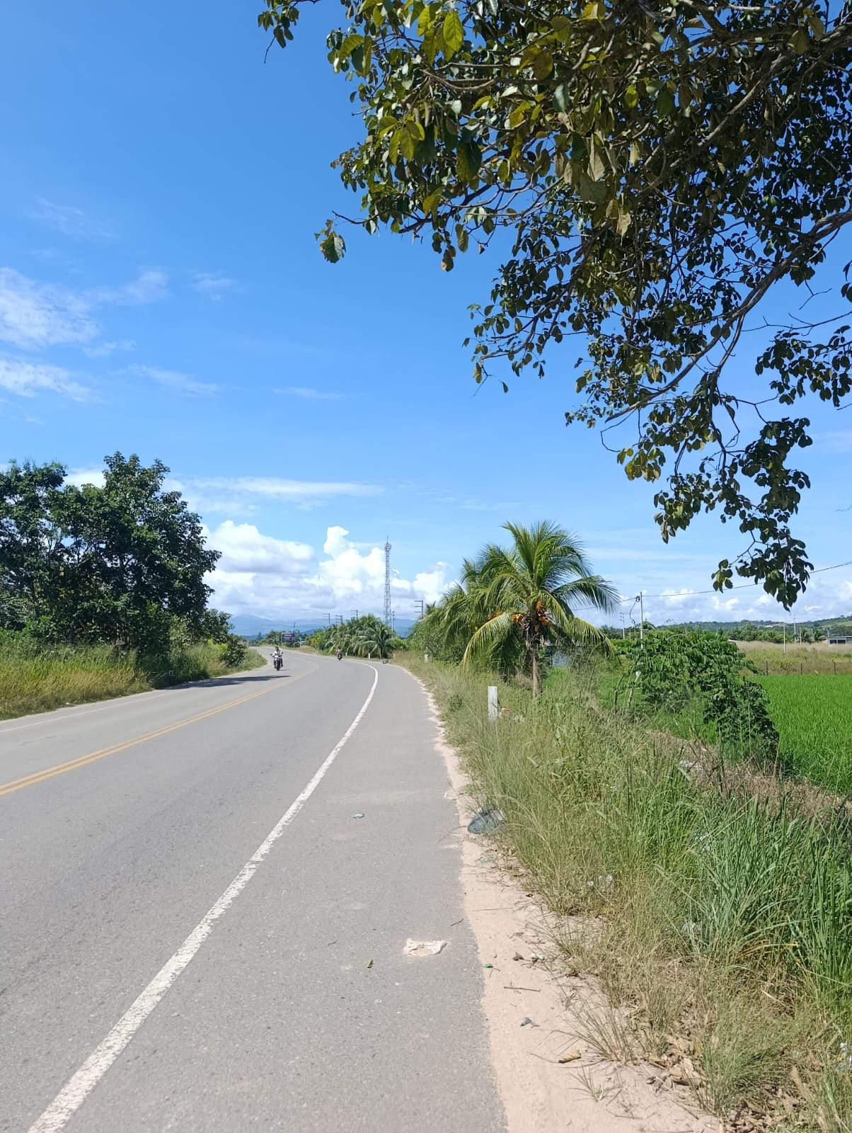 OPORTUNIDAD DE INVERSIÓN EN TARAPOTO 🏞️