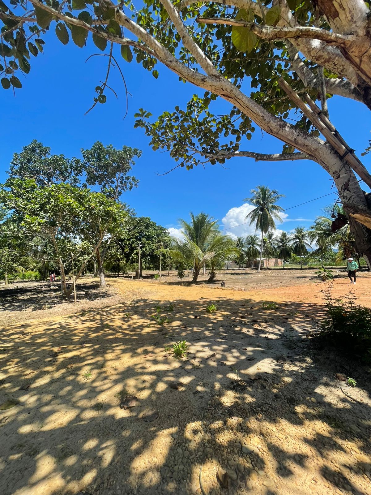 🏡Lotes frente de la entrada de Lamas🏡