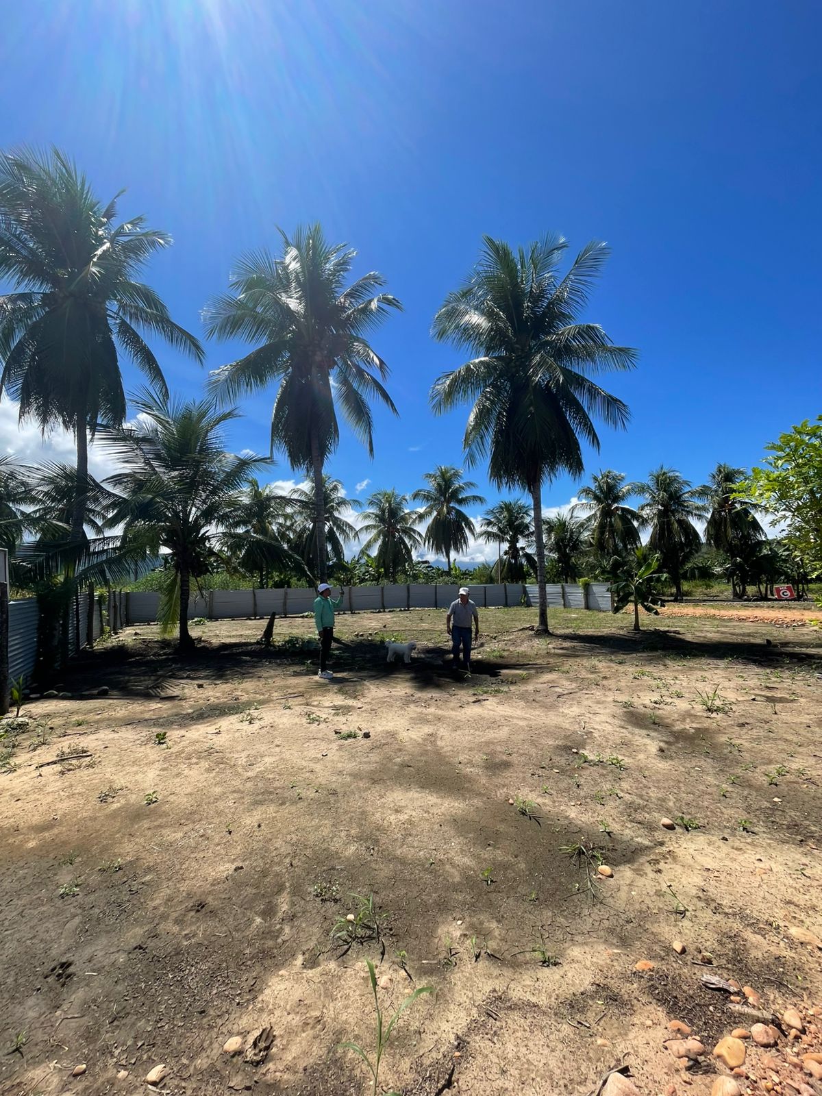 🏡Lotes frente de la entrada de Lamas🏡