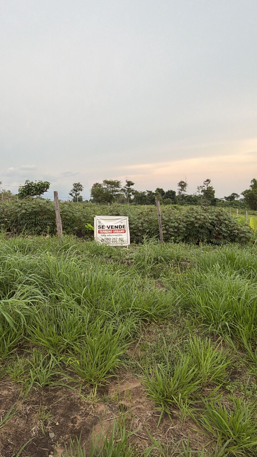 Se vende 02 Lotes pegados a 3 min. de la Av. Circunvalacion (1min Rancho Vista)