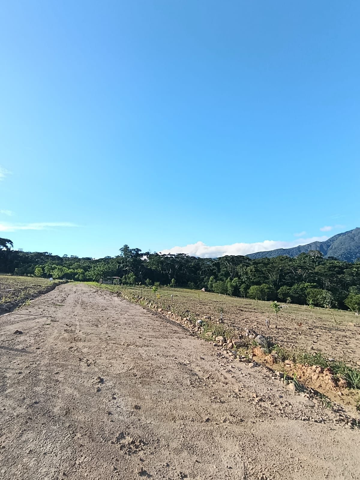 Esta es tu oportunidad de invertir en Brisas del Valle🌴