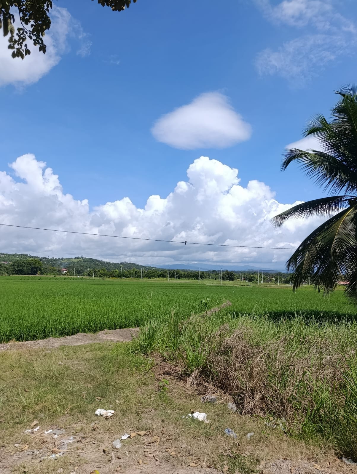 OPORTUNIDAD DE INVERSIÓN EN TARAPOTO 🔥