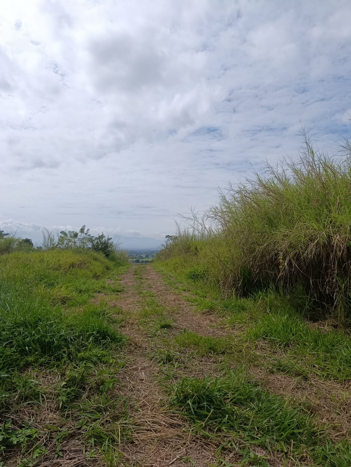 OPORTUNIDAD DE INVERSIÓN EN TARAPOTO! 🏞️