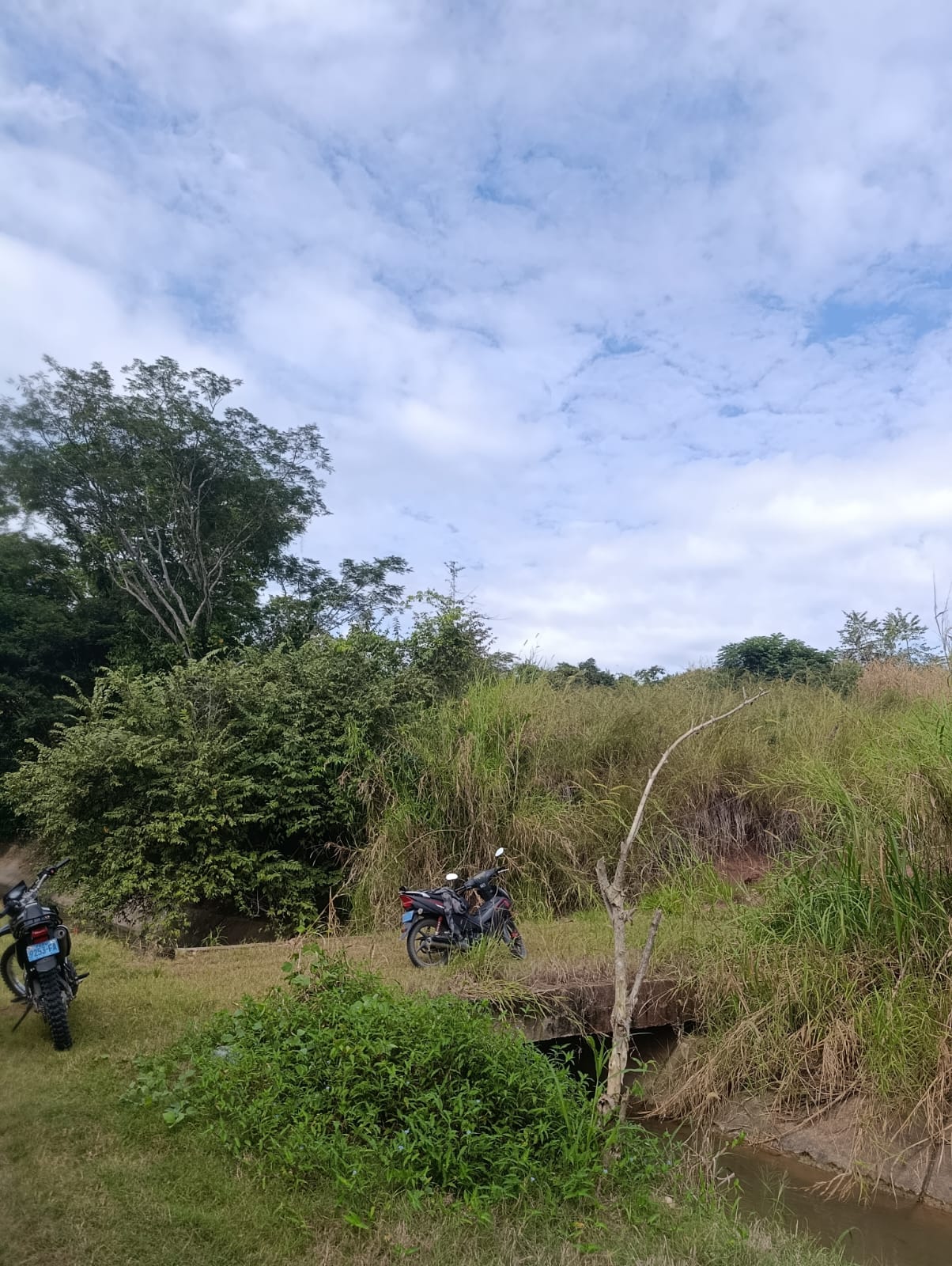 OPORTUNIDAD DE INVERSIÓN EN TARAPOTO! 🏞️