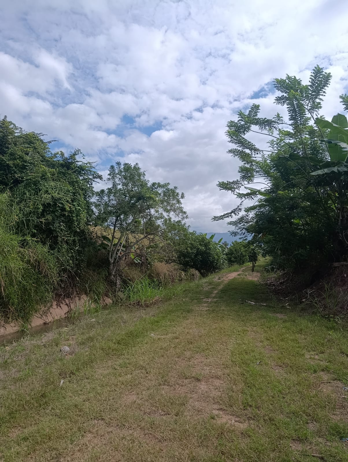 OPORTUNIDAD DE INVERSIÓN EN TARAPOTO! 🏞️
