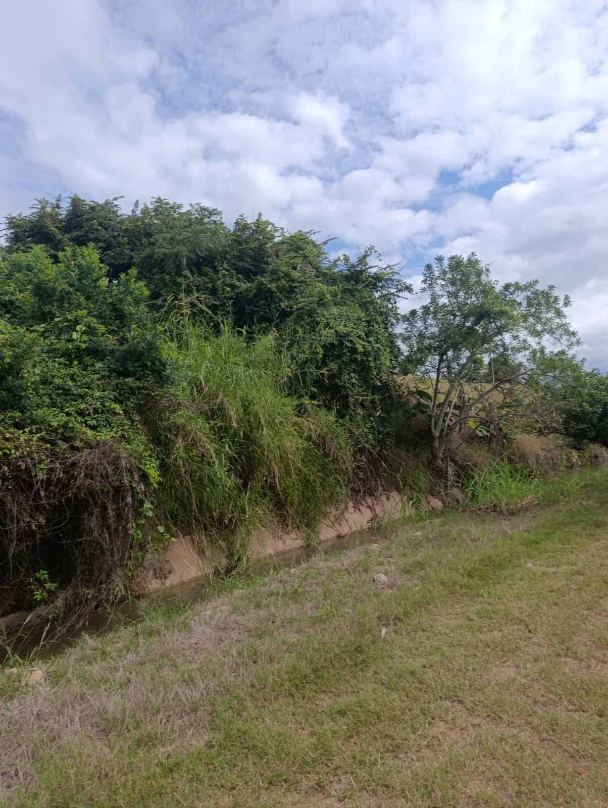 OPORTUNIDAD DE INVERSIÓN EN TARAPOTO! 🏞️