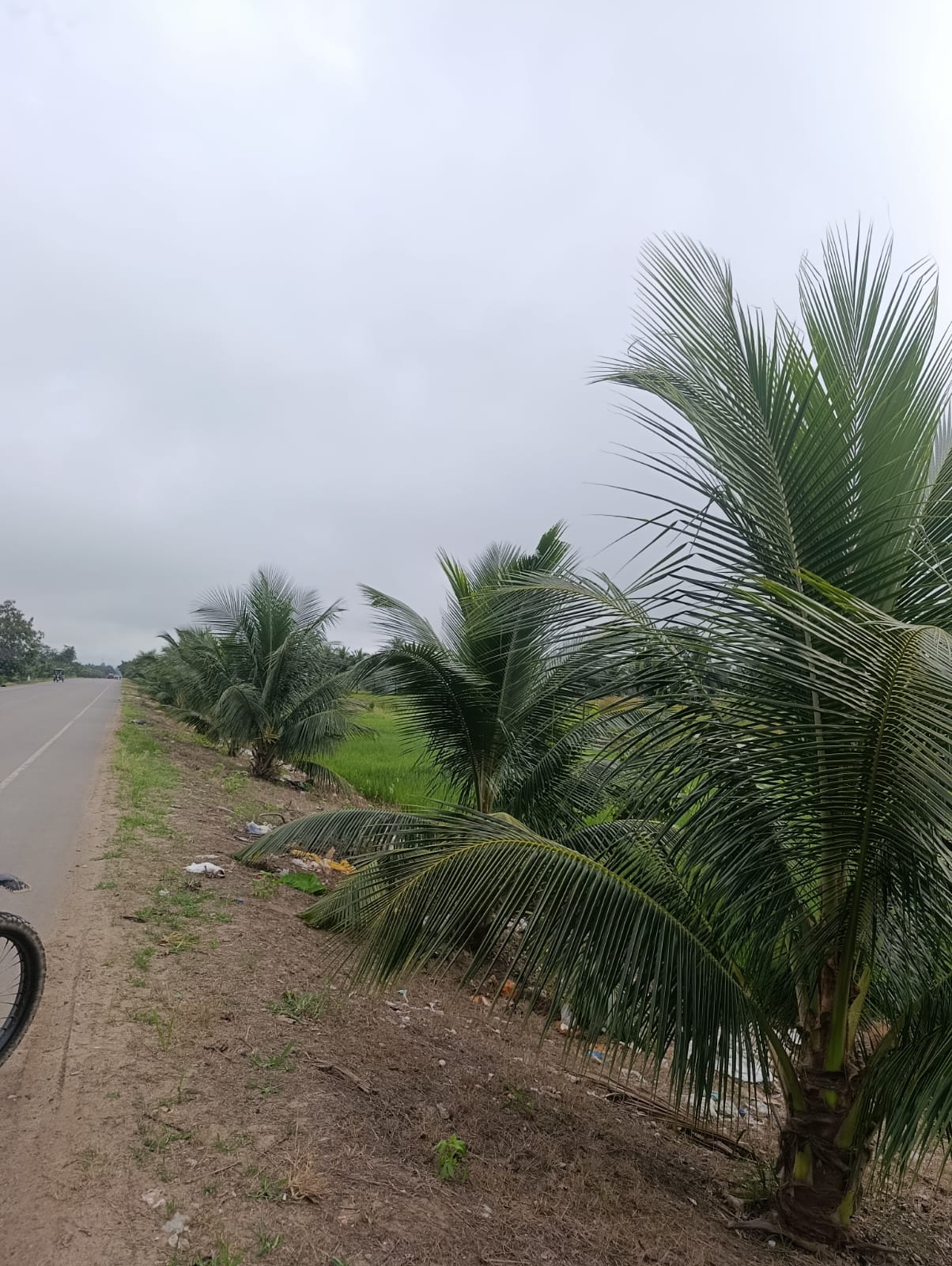 Gran oportunidad de inversión en Tarapoto!