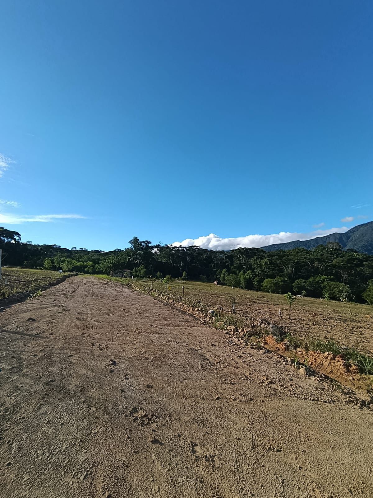 🌿🏡 ¡Invierte en tranquilidad y vive rodeado de naturaleza! 🌄