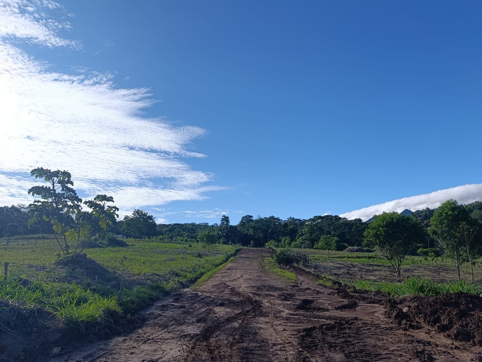 🌿🏡 ¡Invierte en tranquilidad y vive rodeado de naturaleza! 🌄