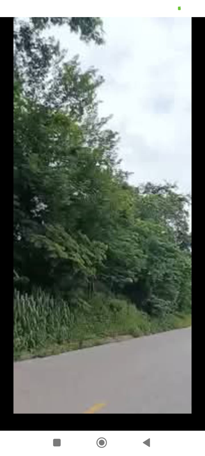 Se vende 56 hectáreas de terreno con 2 km de filo de carretera  🌿✨