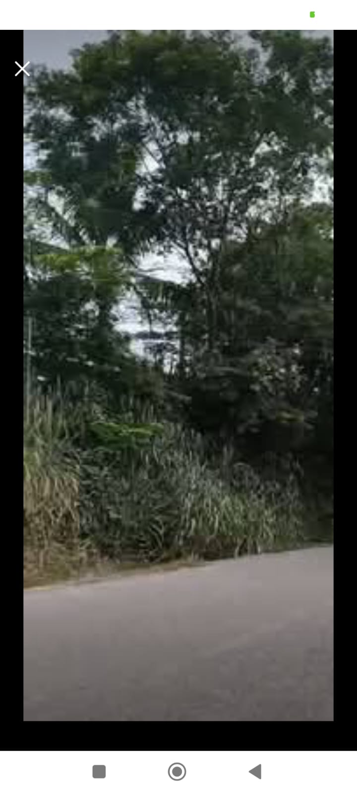 Se vende 56 hectáreas de terreno con 2 km de filo de carretera  🌿✨